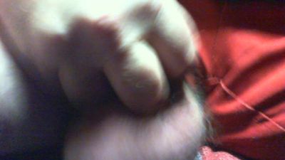 nounours112 webcam cam4 model stream image