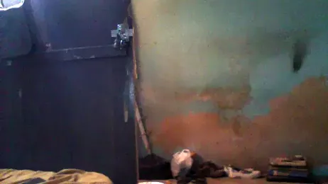 little__joy webcam model stream image