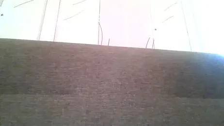 volkstein webcam model stream image