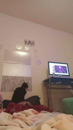 elleblue_sexy webcam model stream image