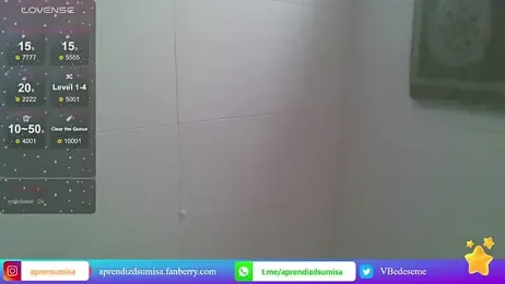 aprendizdsumisa webcam model stream image