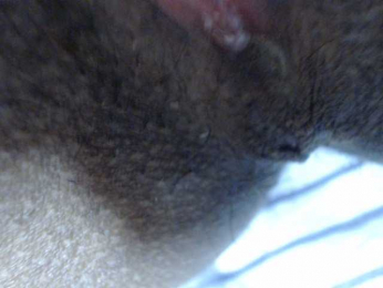 AnitaQuin webcam model stream image