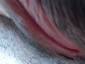 AnitaQuin webcam model stream image