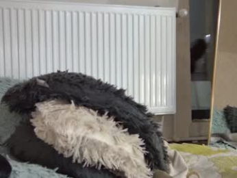 anaworld69 webcam model stream image