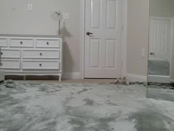 aliii1123 webcam model stream image