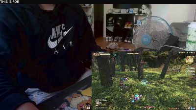 23355663 webcam model stream image