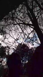 lLovePussy01 webcam model stream image