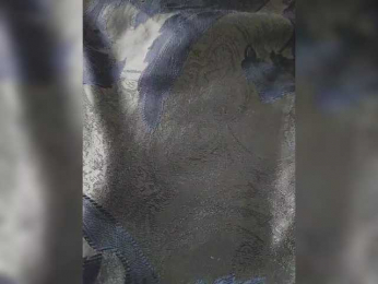 Ice_Ice_Baby webcam model stream image