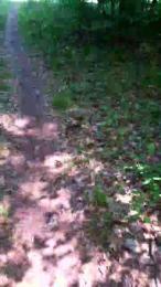 saarman33 webcam cam4 model stream image