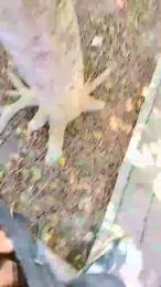 juanreyesx webcam model stream image