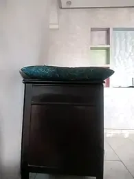 Dalou3a-69 webcam model stream image