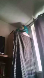 Supreme_x webcam model stream image