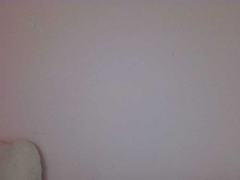 CuteCat91 webcam model stream image