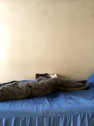 Jerkoftrades webcam model stream image