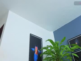 silvabranko webcam model stream image