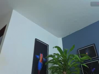 silvabranko webcam model stream image