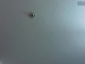 silvabranko webcam model stream image