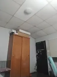 nicedick_bro webcam model stream image