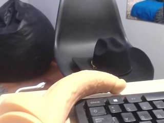 alex-levi webcam model stream image
