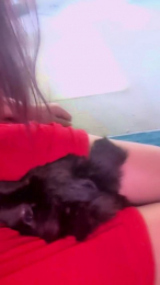 meow88 webcam model stream image