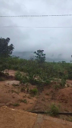 DotPelo webcam model stream image