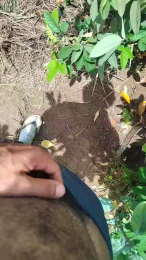 DotPelo webcam model stream image