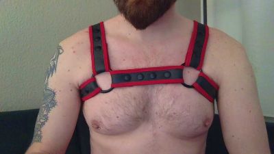 redbearded webcam model stream image