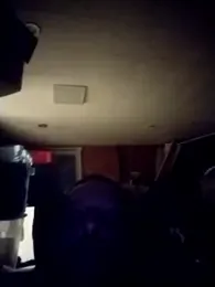 AceticPinscher webcam model stream image