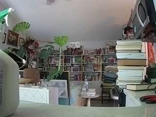 voyeurcam-bridgetleewalters-02 webcam model stream image