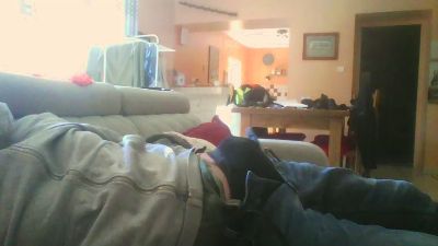 mouette webcam model stream image