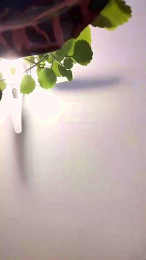 Marina86_ webcam model stream image