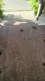 xyz_2giT webcam model stream image