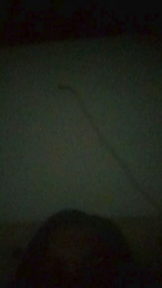 Diablasexx webcam model stream image