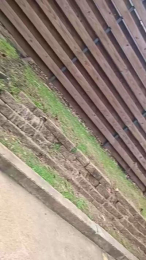 Littleguy25 webcam model stream image