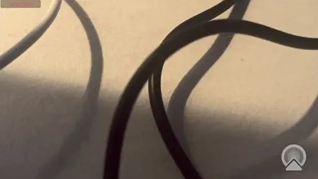 DeniMilkyyyyy webcam model stream image