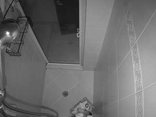 voyeurcam-baileybase-shower webcam model stream image