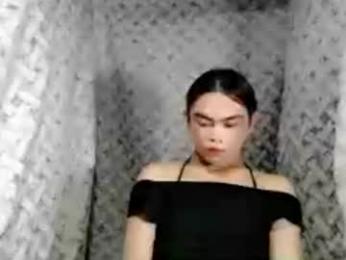 hoelyaurora webcam model stream image