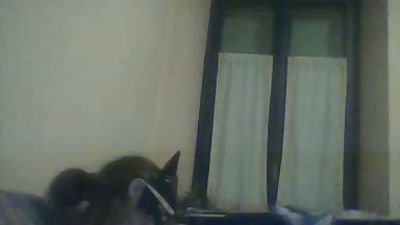 BangerGirl50 webcam cam4 model stream image