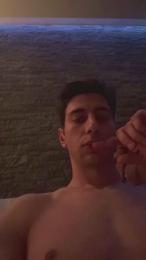 Vitruvio30 webcam cam4 model stream image