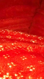 nunzia6 webcam model stream image