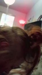 Thickinixxxi webcam model stream image