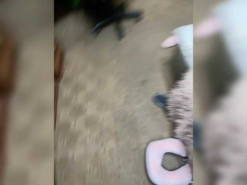 xunybany webcam model stream image