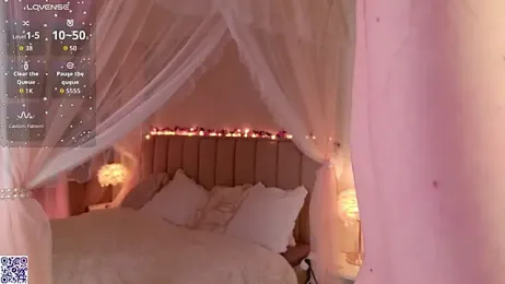 LeraKit webcam model stream image