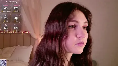 LeraKit webcam model stream image