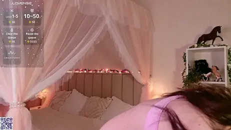 LeraKit webcam model stream image