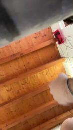 CoppiaMVP webcam model stream image