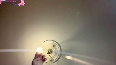 TeenaHulstine webcam model stream image