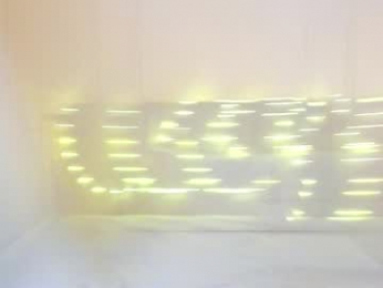 mr_danni_ webcam model stream image