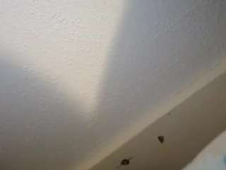 coopercam12 webcam model stream image