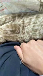 hirohiro2 webcam model stream image